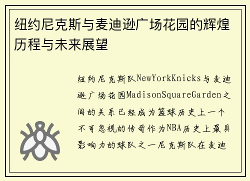 纽约尼克斯与麦迪逊广场花园的辉煌历程与未来展望