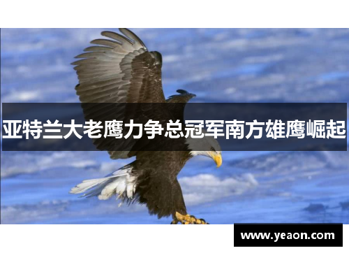 亚特兰大老鹰力争总冠军南方雄鹰崛起